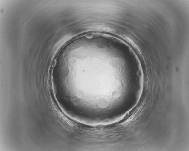 X0000060750799200511141157