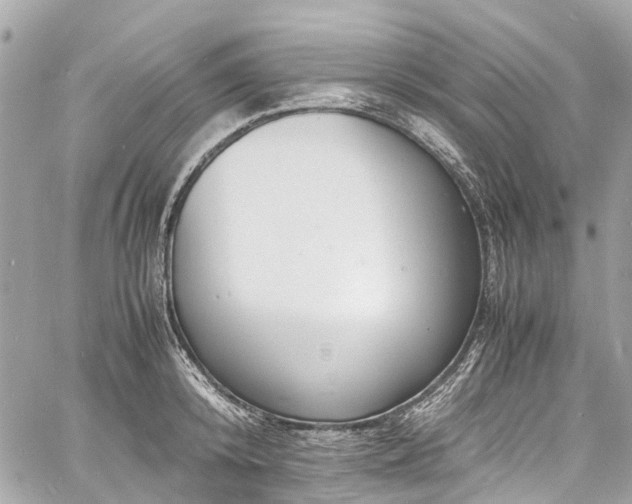 X0000060750800200511141157