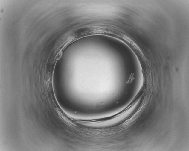 X0000060750801200511141157