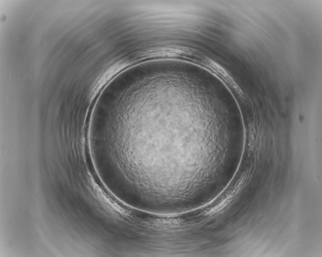 X0000060750802200511141157