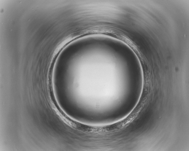 X0000060750803200511141157