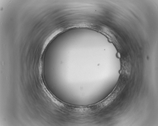 X0000060750804200511141157