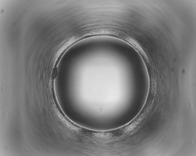 X0000060750805200511141157