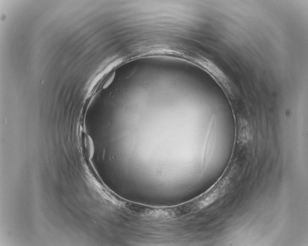 X0000060750806200511141157