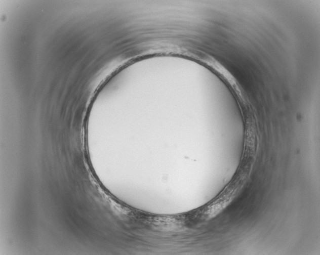 X0000060750807200511141157