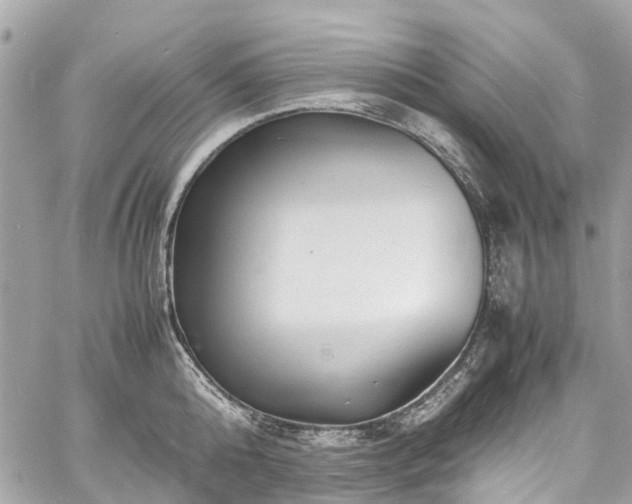 X0000060750808200511141157