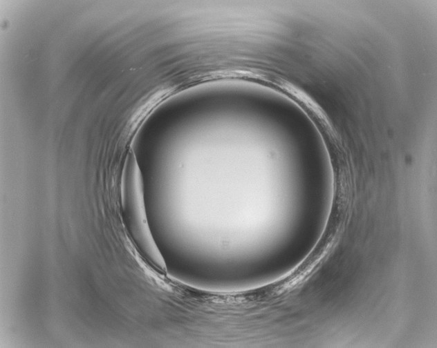 X0000060750809200511141157