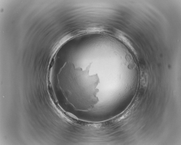 X0000060750810200511141157