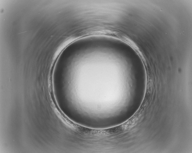 X0000060750811200511141157