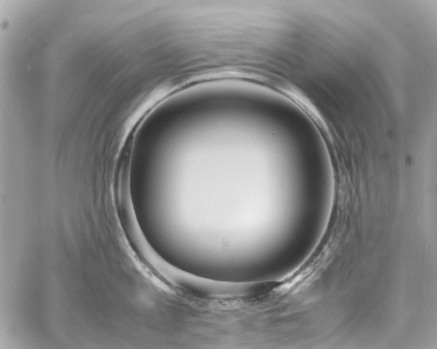 X0000060750813200511141157