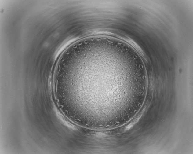 X0000060750814200511141157