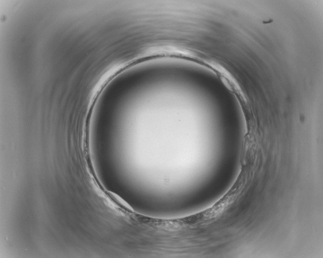 X0000060750815200511141157