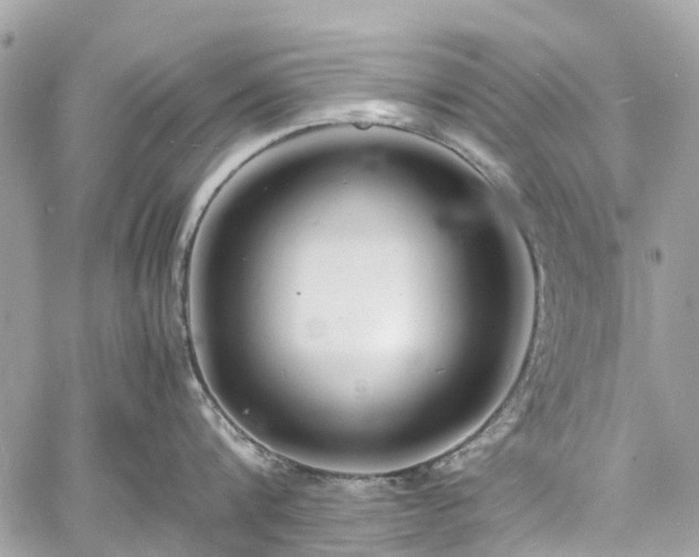 X0000060750816200511141157