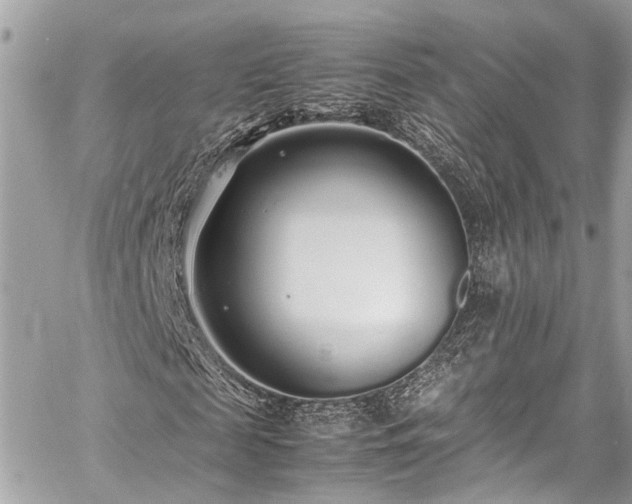 X0000060750817200511141156