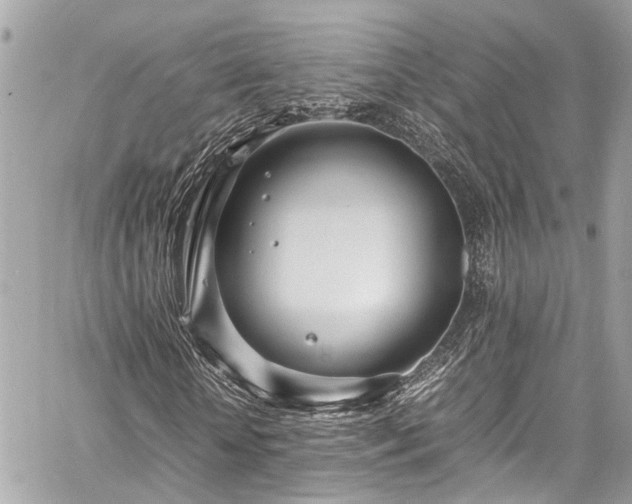 X0000060750818200511141156