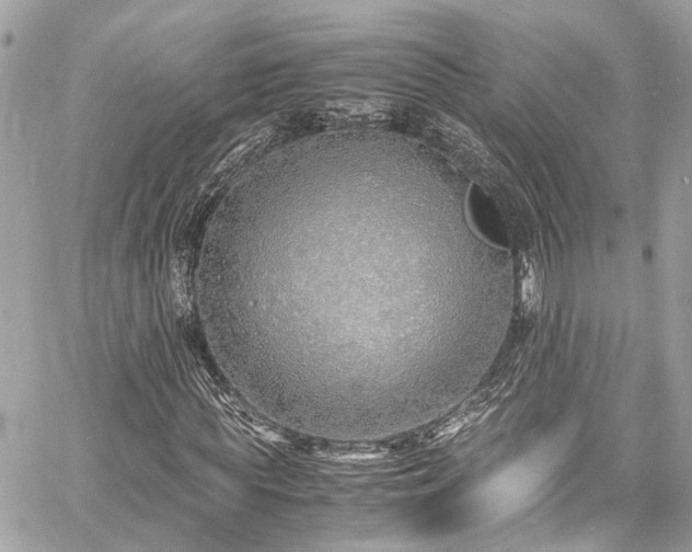 X0000060750819200511141156