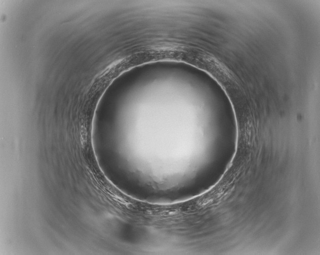 X0000060750821200511141156