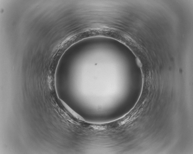 X0000060750822200511141156