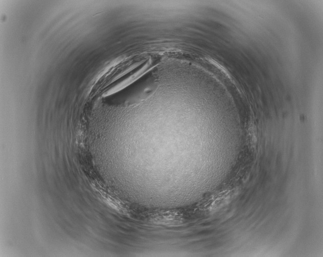 X0000060750823200511141156