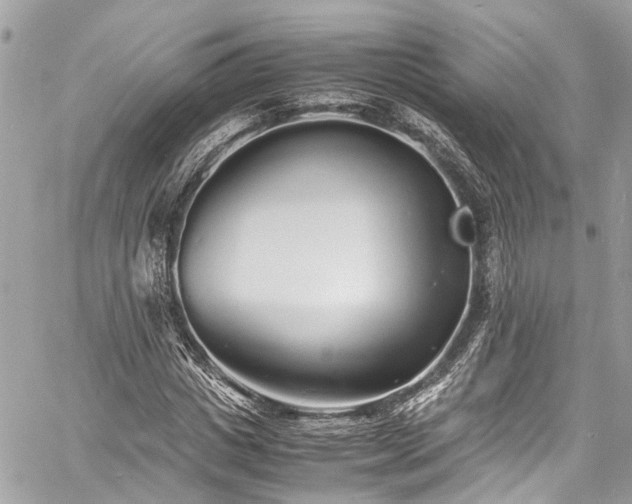 X0000060750825200511141156