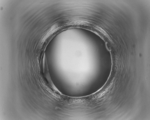 X0000060750826200511141156