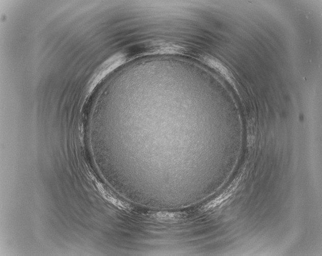 X0000060750827200511141156