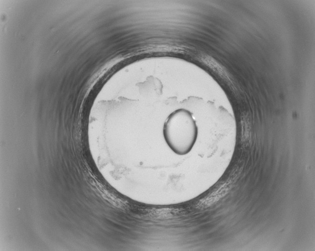 X0000060750828200511141156