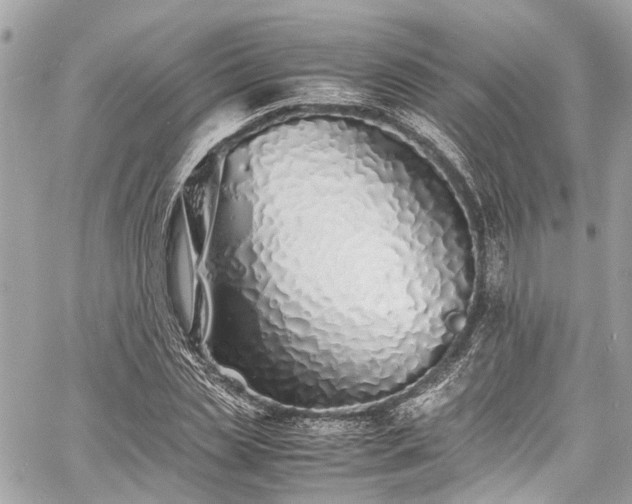 X0000060750829200511141156