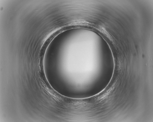 X0000060750830200511141156