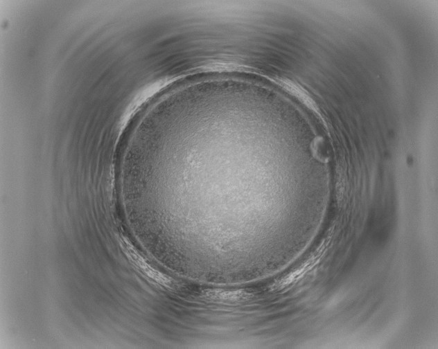 X0000060750831200511141156