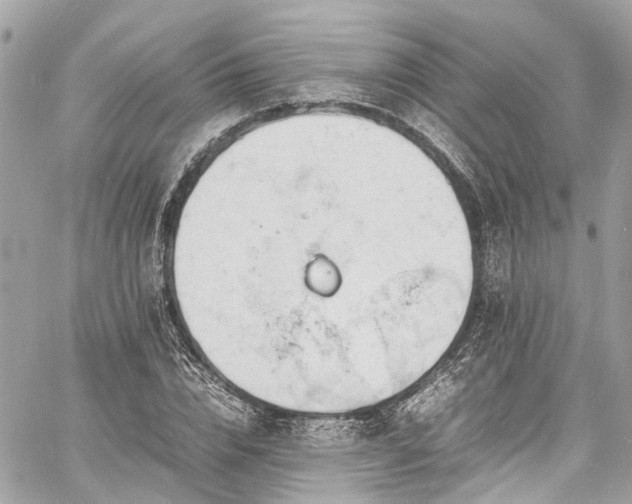 X0000060750832200511141156