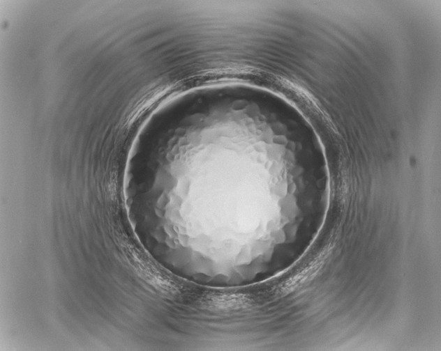 X0000060750833200511141156