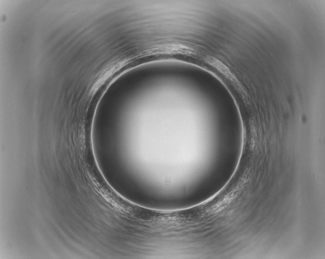 X0000060750834200511141156