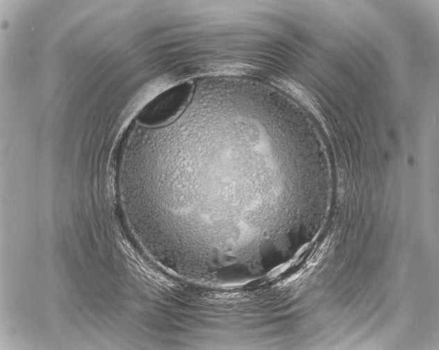 X0000060750835200511141157