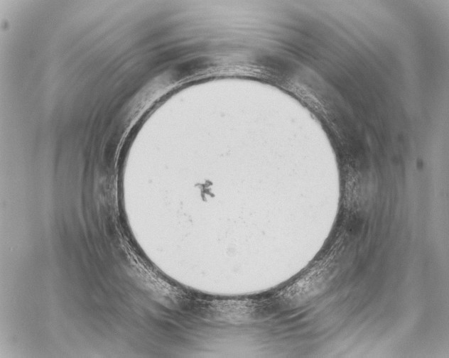 X0000060750836200511141157