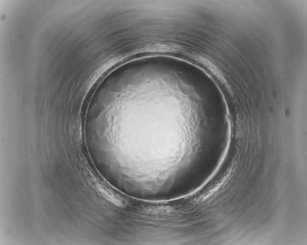 X0000060750837200511141157