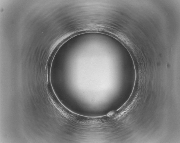 X0000060750838200511141157