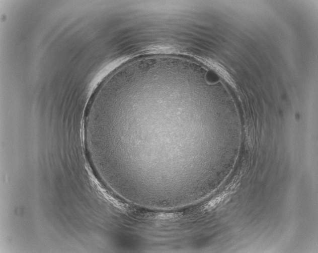 X0000060750839200511141157