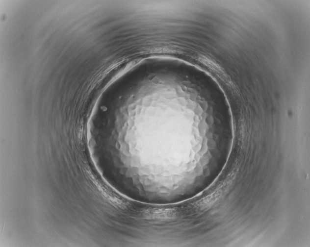 X0000060750841200511141157