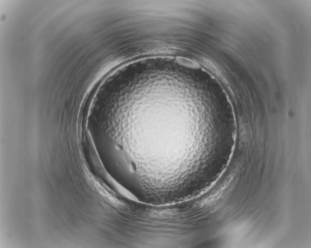 X0000060750843200511141157