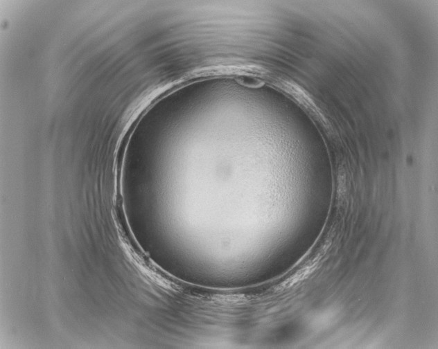 X0000060750844200511141157