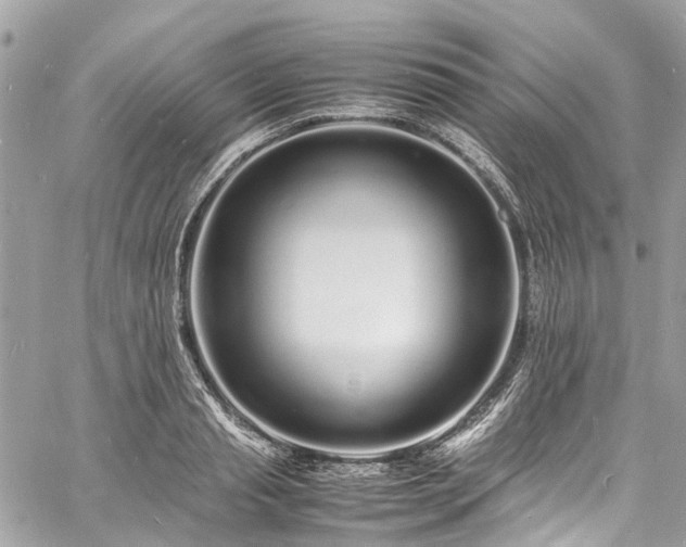 X0000060750845200511141157