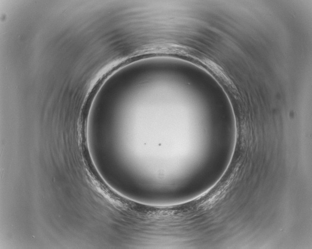 X0000060750846200511141157