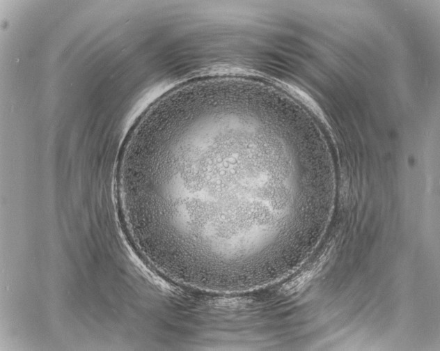 X0000060750847200511141157