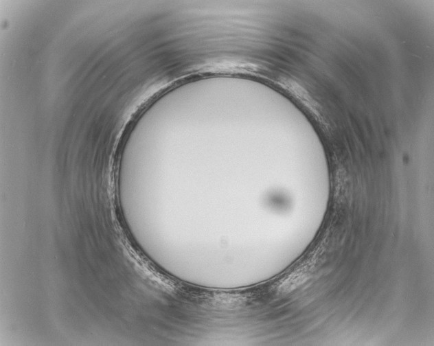 X0000060750848200511141157