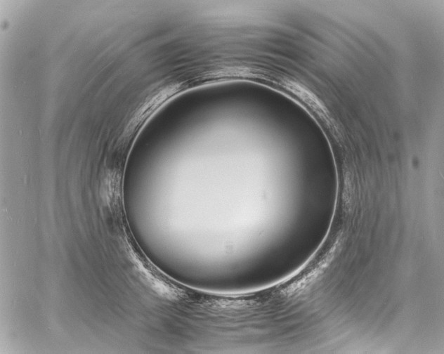 X0000060750849200511141157