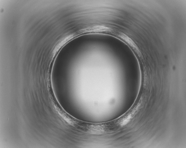 X0000060750850200511141157