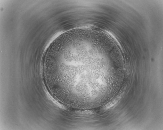 X0000060750851200511141157