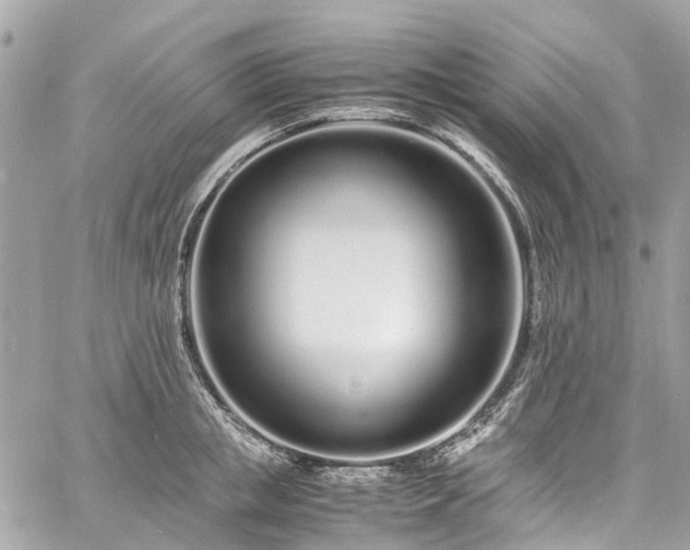 X0000060750853200511141157