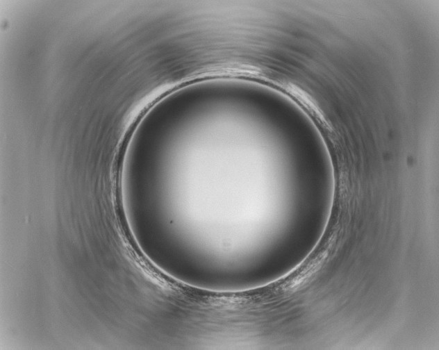 X0000060750854200511141157